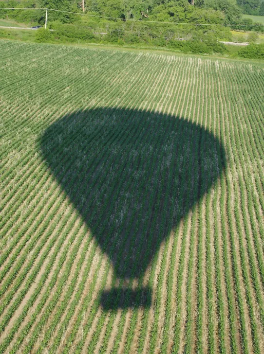 The Essex Experience hot air balloon, operated by Above Reality Hot Air Ballooning of Jericho, casts a shadow over a cornfield in North Williston, Vermont.