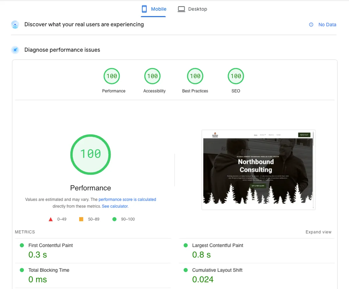 Google PageSpeed Insights showing a perfect 100 performance score on an Esker Designs client's site after migrating to a faster platform